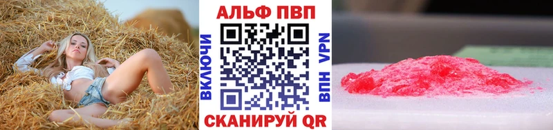 A PVP СК  Правдинск 