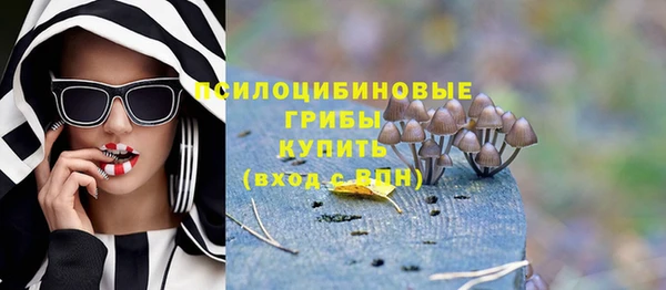 соль ск Армянск