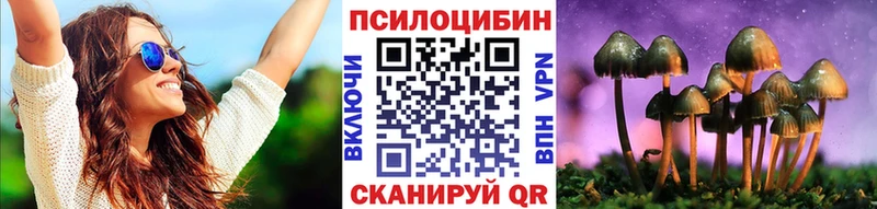Галлюциногенные грибы Psilocybe  дарнет шоп  Правдинск 